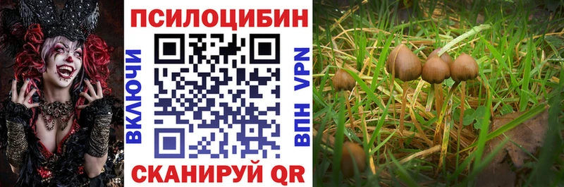 Купить  Задонск  Псилоцибиновые грибы Cubensis 