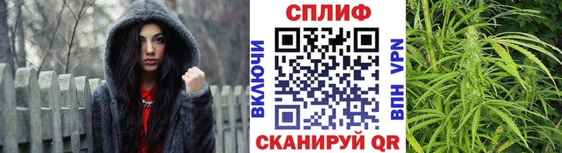Каннабис семена  Купить где  Задонск 
